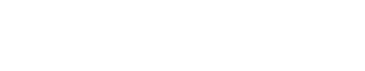 Aci Blueteam